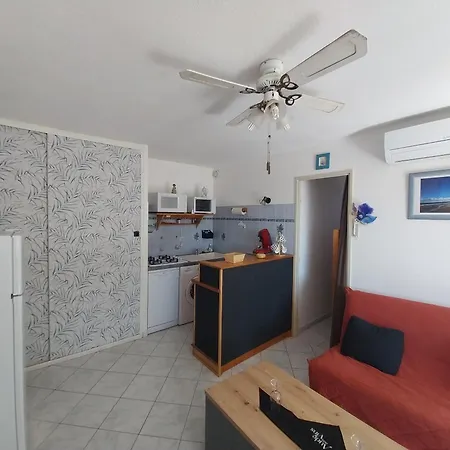 Lägenhet T2 Rdc, Cabine, Climatise,terrasse Et Parking