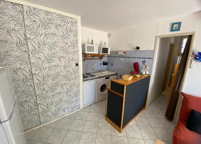 T2 Rdc, Cabine, Climatise,terrasse Et Parking Narbonne-Plage